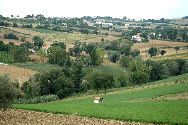 min 2006 08 25 corinaldo 165
